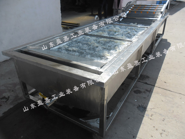 連續(xù)式蘑菇鼓泡清洗機(jī)，支持加工定制
