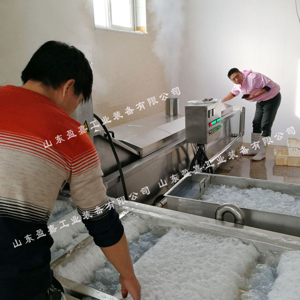 海產(chǎn)品大蝦漂燙冷卻生產(chǎn)線(xiàn)